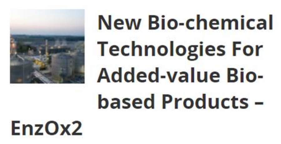 New Bio-chemical Technologies For Added-value Bio-based Products – EnzOx2 in BeSustainable Magazine
