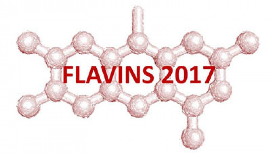 19th International Symposium on Flavins and Flavoproteins
July 2-6, 2017, Groningen, The Netherlands